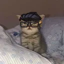 ricehatuu