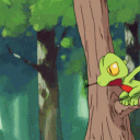 shinytreecko_
