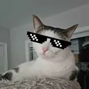 kibberscreee