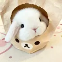 bunnirue