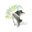 chomp's Avatar