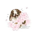 chomp's Avatar