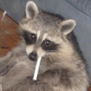 reivilow