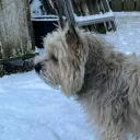 nickador
