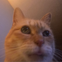 catzaddyy#6570's avatar