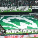 carstosvw