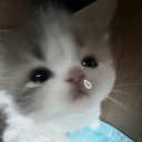 avatar † ufkun bicike