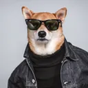 sprintu