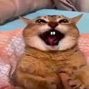 avatar GD Progression