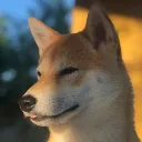 jaydzl