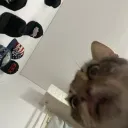 rhambooo