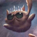 hypnocat