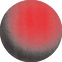 doronstudio