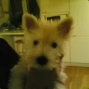 aksel