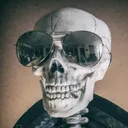 pan_despoyler