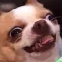 binopy