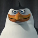 avatar dodo