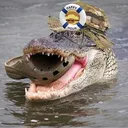 cannibalcroc