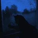 morfologico