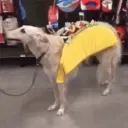 onelooongboi