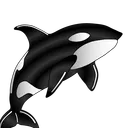 dacingwhale