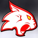tokko_tomcat