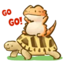 kreekakon