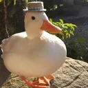 davidtetrix