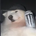 godomasta