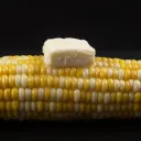Corn on the cob's Avatar