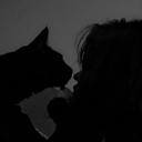 avatar 🦇𝖘𝖔𝖋𝖎𝖆🦇