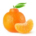 thetangelo