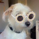 lemkeey#1303's avatar