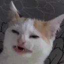 jarydeb