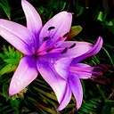 null_sense