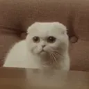 rehdd
