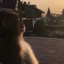 ayoakuu