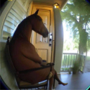 avatar ghorse