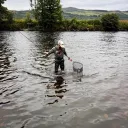 theweescotsman