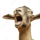 Dan