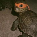uhbellz