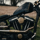 jack17987#9110's avatar