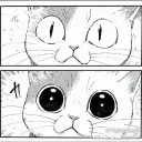 thecatsmeowow