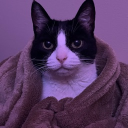 action.jax#3161's avatar