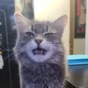 hpawaken