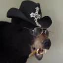 applayer_mike