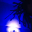 robitza