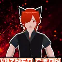 vizner_carn