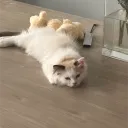 dora_x52