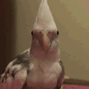 doktorkrutz